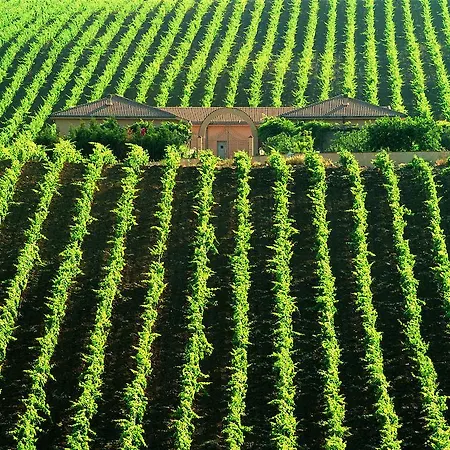 Gloria Hotel Palermo